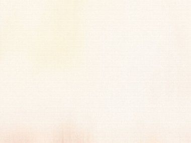 metin için alanı olan grunge doku arkaplanı