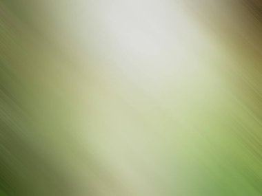 Soyut pastel yumuşak renkli düz yeşil renkte tonda odak kapalı dokulu arka plan bulanık. Duvar kağıdı olarak veya web tasarımı için kullanılabilir