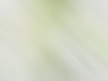 Bulanık yeşil arkaplan ve güzellik dokusu