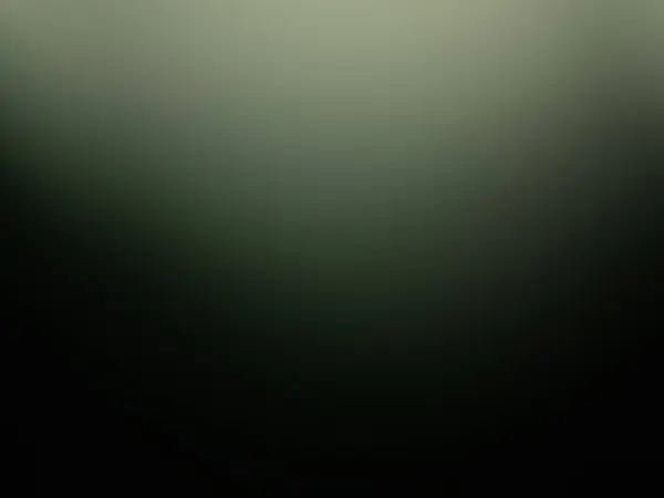 Темно Зеленый Векторный Фон Линиями — стоковое фото