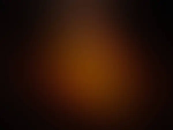 円の質が付いている暗いオレンジ色のベクトル レイアウト — ストック写真