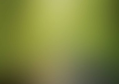 Yeşil arka plan. Vektör illüstrasyonu