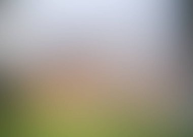 Bulanık ışık arkaplanı renkli