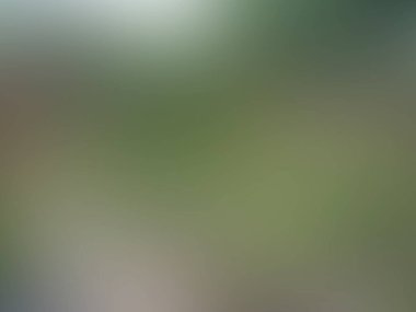 Bulanık arka plan web için