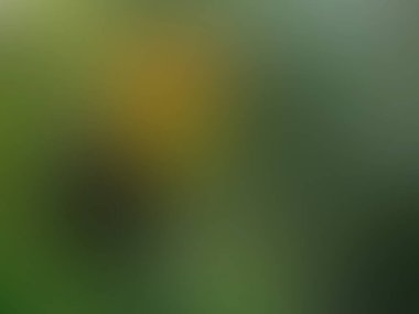 Yumuşak renk gradyan arka planı. Vektör çizim.