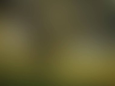 ışık soyut gradyan hareketi bulanık arkaplan