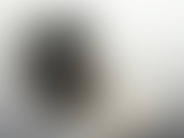 light gray vector gradient blurred pattern. modern illustration in blur style. smart background for websites.