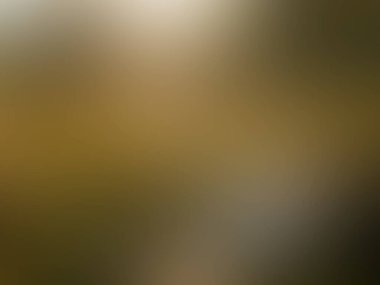 Aydınlatma gradyan hareketi arkaplanı bulanıklaştırdı. Renkli çizgiler desen duvar kağıdı