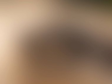 açık gri gradyan arkaplan vektörü.