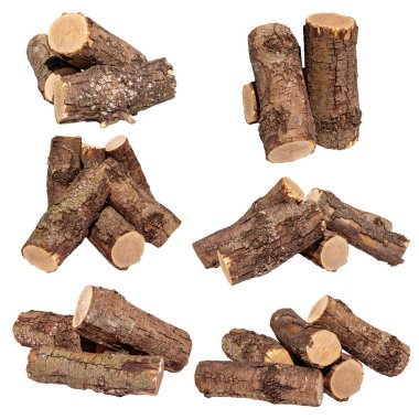 Ağaç kabuğu beyaz arkaplanda izole