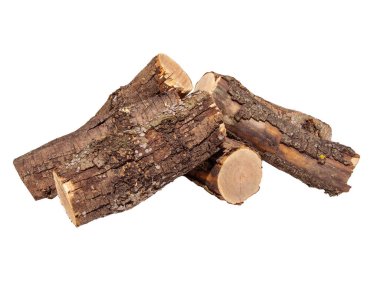 Beyaz arka planda ağaç kabuğu