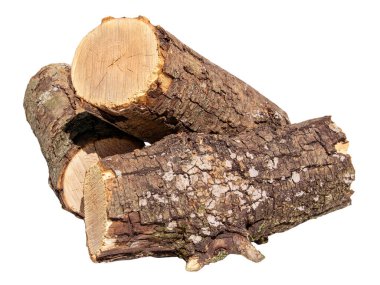 Ağaç kütüğü kırpma yolu olan beyaz bir arkaplanda izole edildi.