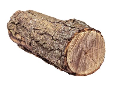 Kes ağaç kabuğu beyaz arkaplanda izole edildi