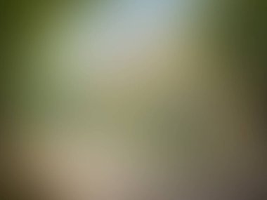 soyut bulanık yeşil renkler karışık ortam