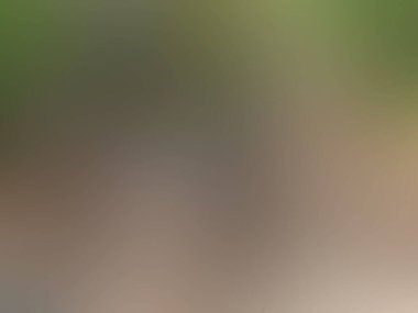 Işık bulanık arkaplan, soyut doku deseni, vektör illüstrasyonu