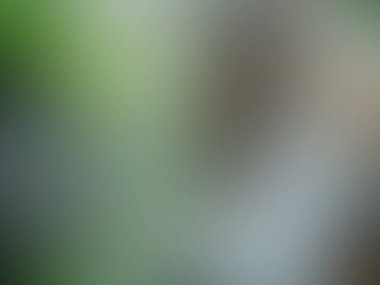 Işık gri degrade arka plan.