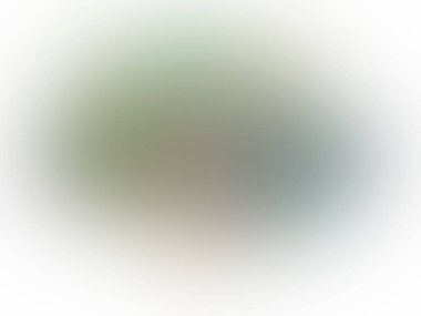 soyut renkli gradyan ağ arkaplanı