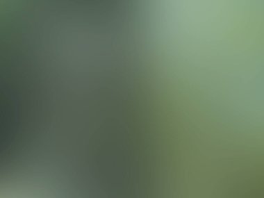 yumuşak eğimli arkaplan. yeşil, sarı, kahverengi, kahverengi.