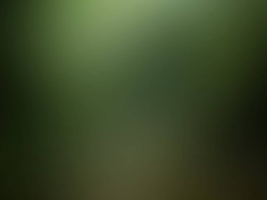 yeşil gradyan arkaplan / soyut bulanık arkaplan