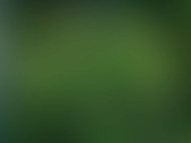 Yeşil degrade arka plan / bulanık taze yeşil arka plan