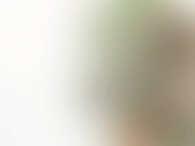 soyut pastel yumuşak renkli yumuşak bulanık dokulu arka plan odak tonlu. yeşil renk