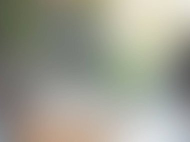 Açık gri vektör soyut bulanık arkaplan. gradyanlı modern illüstrasyon. İşiniz için yeni tasarım.