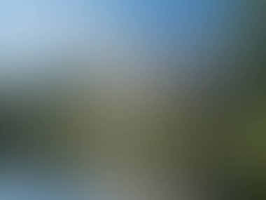 arka plan bulanık. arka plan.