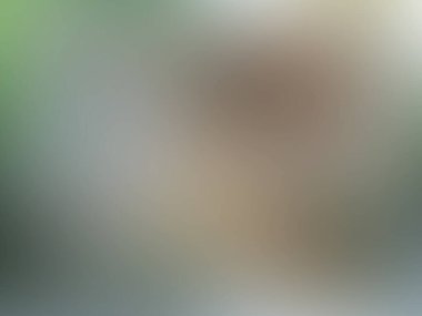 Bulanık ışık arkaplanı renkli