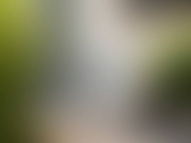 yeşil eğimli arkaplan / soyut arkaplan ve sıcak arkaplan