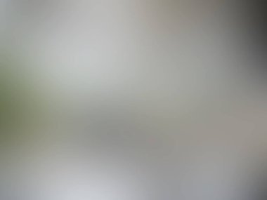 Soyut pastel yumuşak renkli düz yeşil renk tonlu odak kapalı dokulu arka plan bulanık