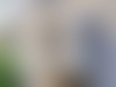 Soyut pastel yumuşak renkli bulanık dokulu arkaplan yeşil tonlu odak tonundan uzak