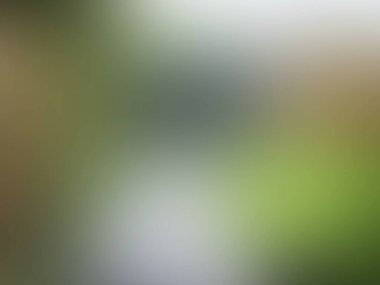 yeşil bulanık arkaplan. vektör illüstrasyonu.