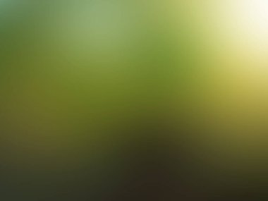 soyut bulanık yumuşak renk eğimli arkaplan, yeşil, sarı, kahverengi, beyaz