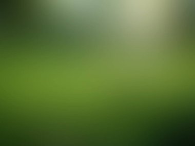 Bulanık yeşil eğimli arkaplan, yeşil renk