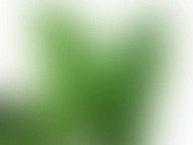 Soyut bulanık arkaplan. pürüzsüz eğim dokusu, renkli arkaplan grafik parlak yeşil ışık. yaratıcı yumuşak grafik grafiksel gradyan gradyan gradyan vintage resmi.