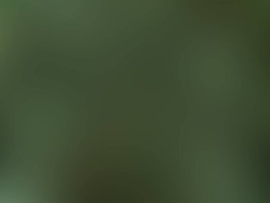 Bulanık eğimli arkaplan. Renkli yumuşak pankart şablonu. Bilgisayar ekranı duvar kağıdı. Basit Gradyan