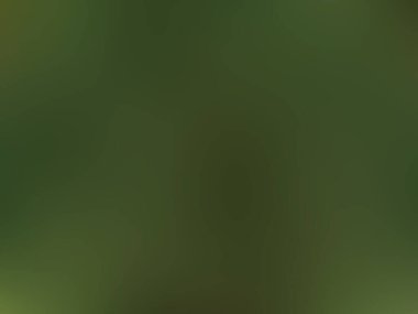 Bulanık arkaplan, yeşil doku