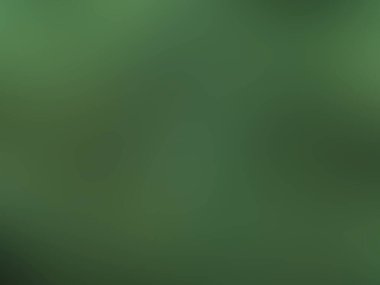 Yeşil degrade arka plan / bulanık taze yeşil arka plan