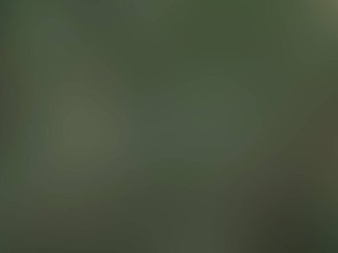 Modern gradyan soyut tasarım. Renkli gradyan arkaplan.