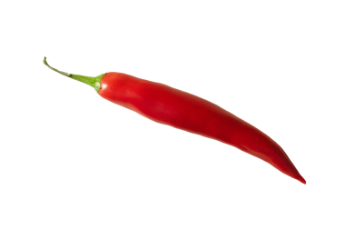 Kırmızı biber beyaz arkaplanda izole edildi.