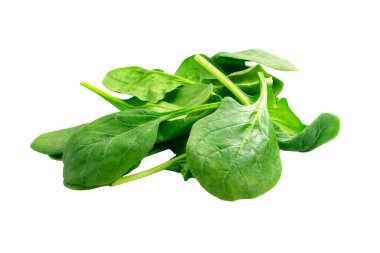 Taze yeşil ıspanak yaprakları