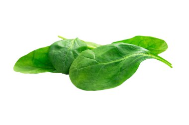 Taze yeşil ıspanak yaprağı beyaza izole edilmiş