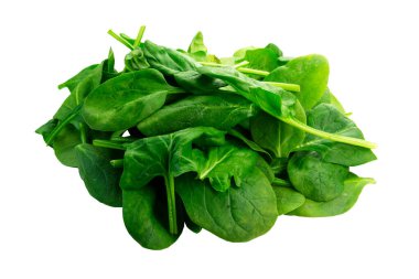 Beyaz arka planda taze yeşil salata yaprakları