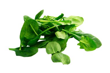 Beyaz arkaplanda yeşil ıspanak yaprakları