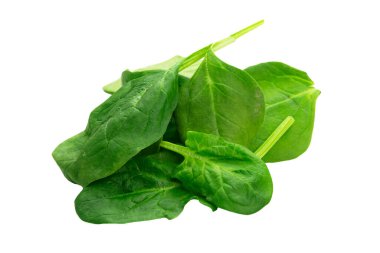 Beyaz arkaplanda taze ıspanak yaprakları