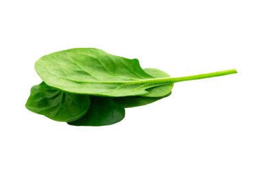 Beyaz arkaplanda yeşil taze fesleğen yaprakları