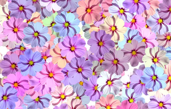 seamless floral pattern, seamless floral background