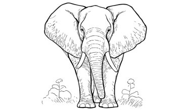 Fil İllüstrasyonları hisse senedi çizimi, el çizimi