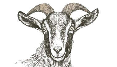 Keçi eli portresi çizimi.