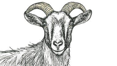 Keçi eli portresi çizimi.